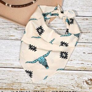 Stylish Cream and Blue Scarf